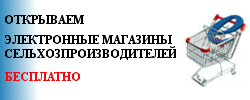 ������� ��������-������� ���������������� ���������